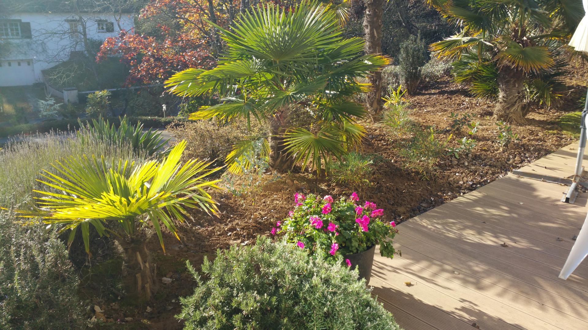 Jardin
