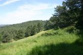 2006_0612_115423AA.JPG