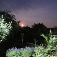 Le jardin quand la lune se lève (villa Les Agapanthes)